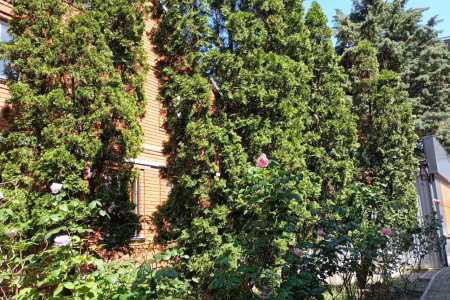 Отель Гостиница Аквариум в Лазаревское - Россия