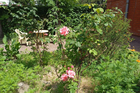 Отель Гостиница Аквариум в Лазаревское - Россия