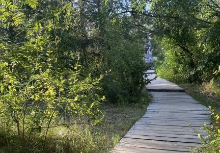 Отель ApartMari на Куршской косе в Калининградская область - Россия