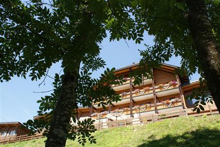 Aparthotel Ferienalm Schladming