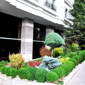 отель Notte Hotel