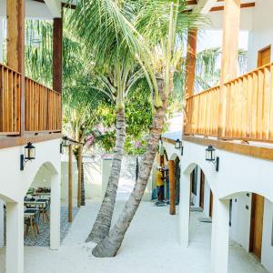 отель Ahiva Village