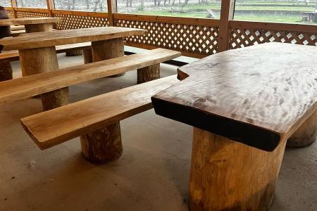 Отель База Отдыха Пляж 54 в Пицунда - Абхазия