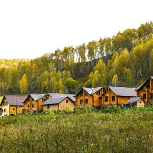 отель Басаргино