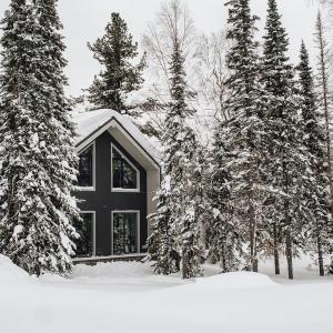 отель Chalet Needles