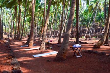 Отель Cabo Serai - Eco Resort в Южный Гоа - Индия