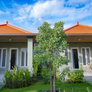 отель SEAMOUNT AMED