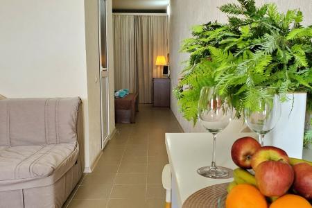 Отель AniWave в Лоо - Россия