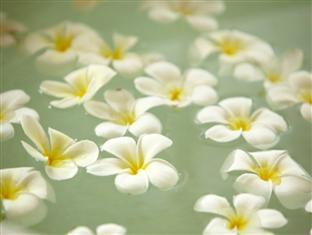 Отель Frangipani Tree в Талпе - Шри-Ланка