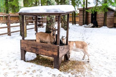 Отель Русские Сезоны Село Вятское - SPA отель в Ярославская область - Россия