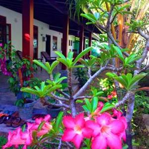 отель Weligama Bay Eco Villa