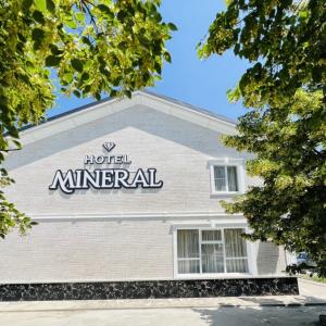 отель Mineral Hotel