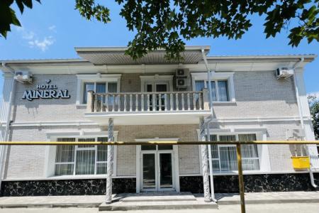 Mineral Hotel
