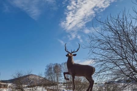 Отель Maralnik Altai Palace Hotel в Алтайский край - Россия