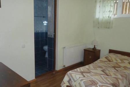 Отель Gagieti в Гудаури - Грузия