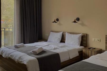 Отель Hotel Gold Kazbegi в Степанцминда (Казбеги) - Грузия