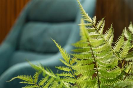 Отель Kamchatka Chalet Hotel в Камчатский край - Россия