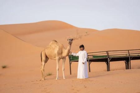 Bedouin Nighets Camp