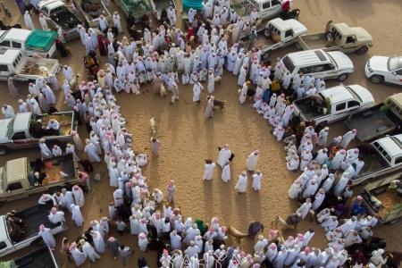 Bedouin Nighets Camp
