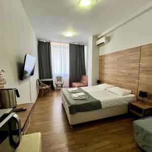 отель Svetlana Apartment 1