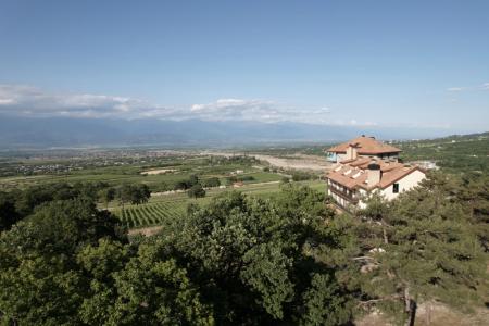 Отель Agarani Estate Hotel в Телави - Грузия