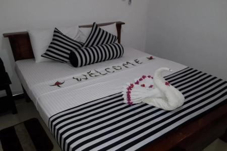 Отель N.L.I. Guest House в Хабарана - Шри-Ланка