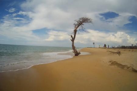 Отель Kite Paradise Resort-Kalpitiya в Калпития - Шри-Ланка