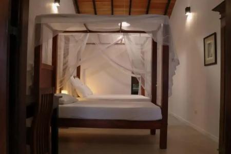 Отель Blue Parrot Beach Villa в Галле - Шри-Ланка