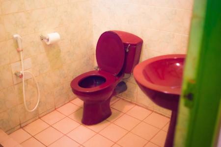 Отель Hotel Gem Land в Ахангама - Шри-Ланка