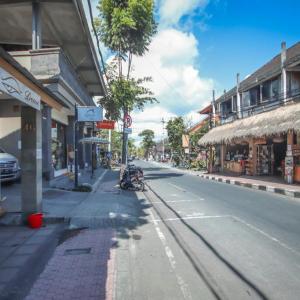 отель Satya House Ubud