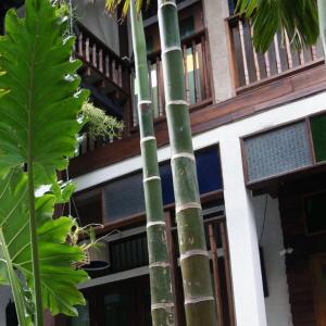 отель Ban Chang Tong Hotel