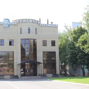 отель Мини-Отель Сенгилей