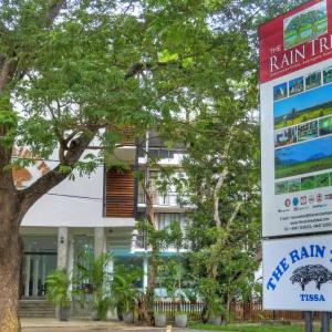отель The Rain Tree Hotel