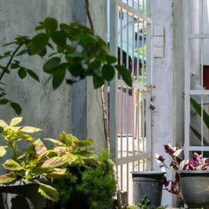 отель Sithila Villa