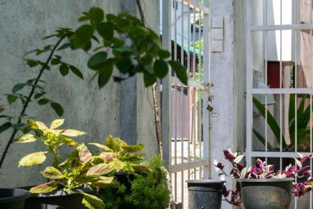 Отель Sithila Villa в Маунт Лавиния - Шри-Ланка