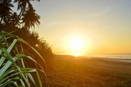 Отель Villa Nilaya в Коггала - Шри-Ланка