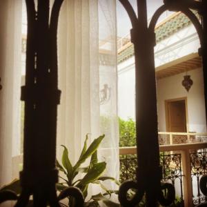 отель Riad Les Orangers d'Alilia