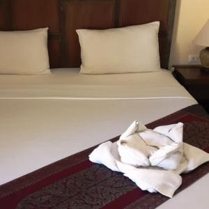 отель Paddys Palms Resort