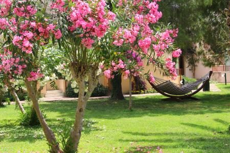 Отель Vonresort Golden Beach в Чолаклы - Турция