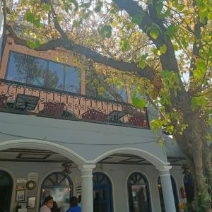 отель Maya Hotel & Restaurant