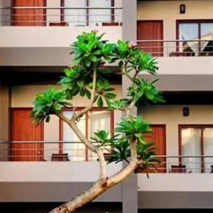 отель Lombok Garden Hotel