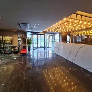 отель Air Boss Istanbul Airport and Fair Hotel
