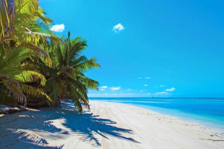 Alphonse Island Resort