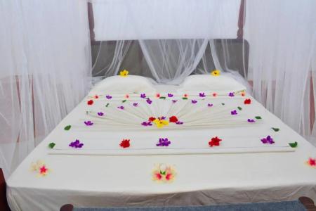 Отель Bougain Villa в Алутгама - Шри-Ланка