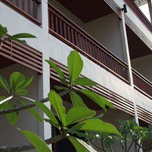 отель Kata Noi Resort