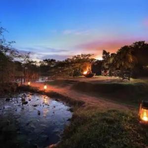 отель Leopard Trails Wilpattu