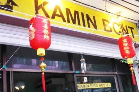Kamin Bird Hostel