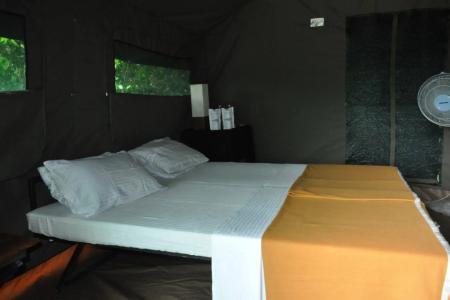 Explorer by Eco Team - Wasgamuwa National Park