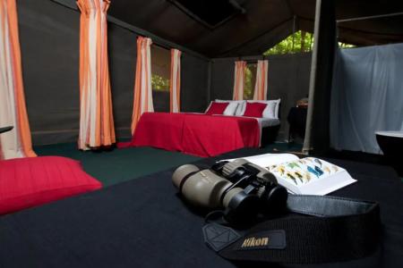 Explorer by Eco Team - Wasgamuwa National Park