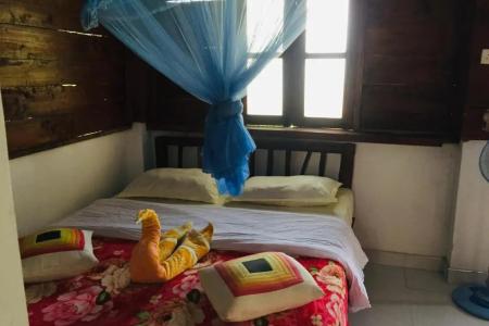 Отель New Green View в Элла - Шри-Ланка